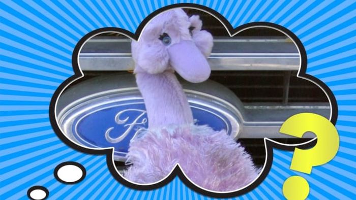 Plush toys are a frequent sight on trucks and various vehicles, often adding a personal touch or charm.