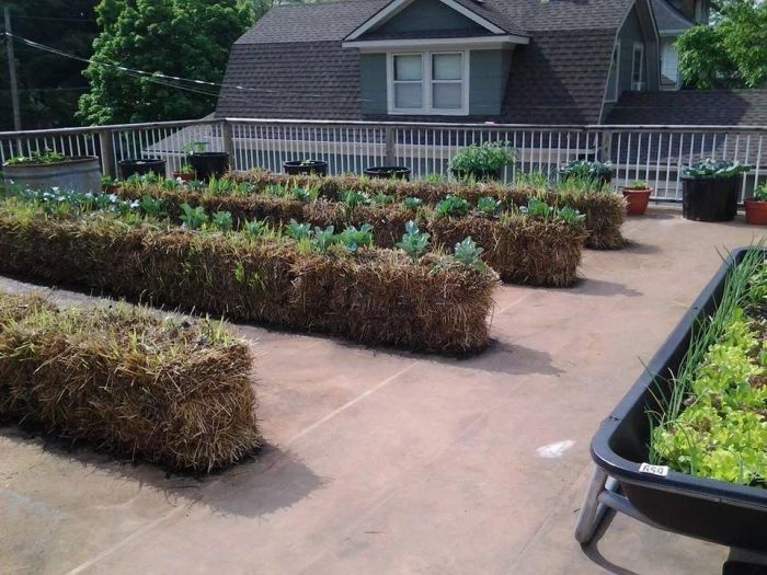 Straw Bale Garden