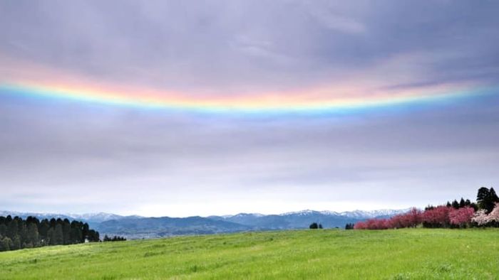 A circumhorizontal arc, often called a 