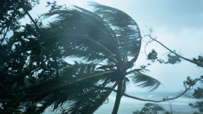 Hurricane Gilbert