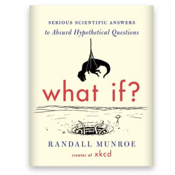What If book