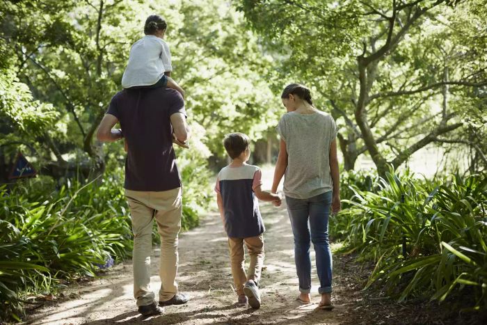 Rear view of family walking in park