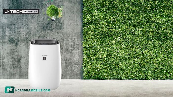 Lý do bạn nên chọn máy lọc không khí Sharp FP-J40E-W: Hiệu quả vượt trội