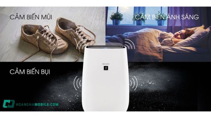 Lý do bạn nên chọn máy lọc không khí Sharp FP-J40E-W: Các tính năng vượt trội