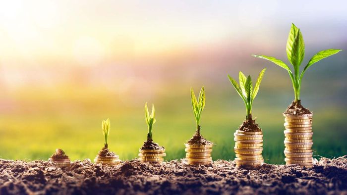Mastering the art of a 'Set and Forget' Investment Portfolio for Beginners
