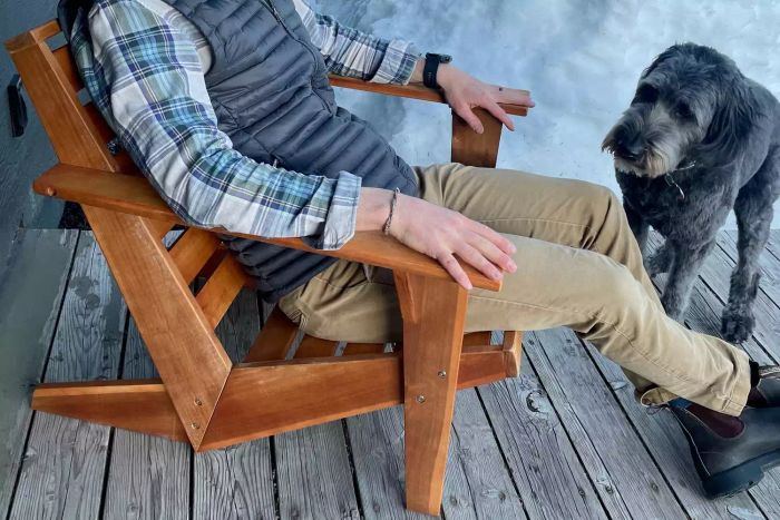 A person relaxing on the Joss & Main Ursa Acacia Outdoor Adirondack Chair, accompanied by a dog.