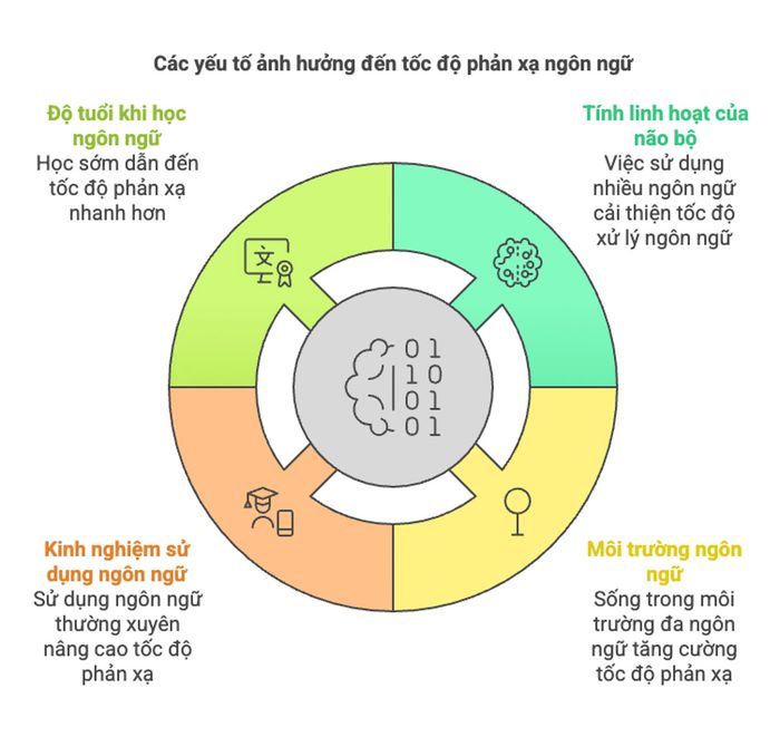 Các yếu tố ảnh hưởng đến khả năng phản xạ ngôn ngữ là gì?