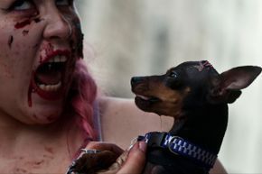 A woman dressed as a zombie holding a dog