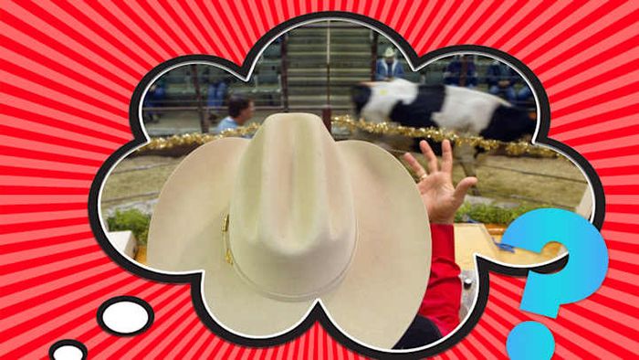 Auctioneers prefer to pick up the pace.