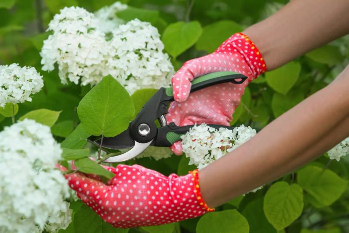 Cutting a small branch