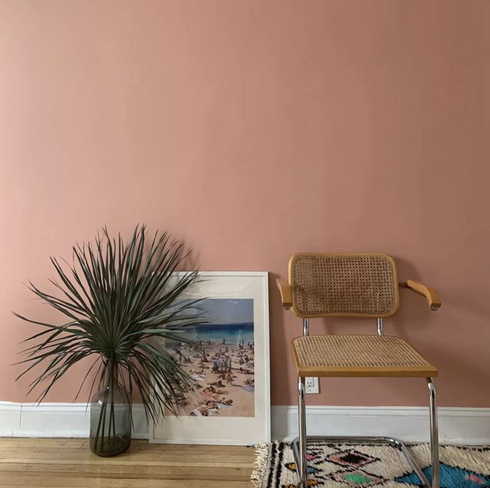 A warm peachy hue on the wall, accompanied by a palm branch in a glass vase and a woven chair
