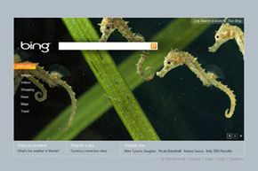 The Bing homepage featuring a background image showcasing three swimming seahorses.