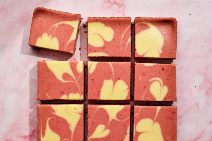 strawberry-cheesecake-bars-0424DOOSWEET_9699-Mytour