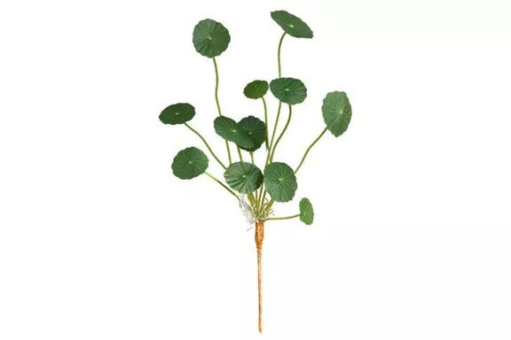 RitaCraftshop Faux Pilea Peperomioides Money Plant