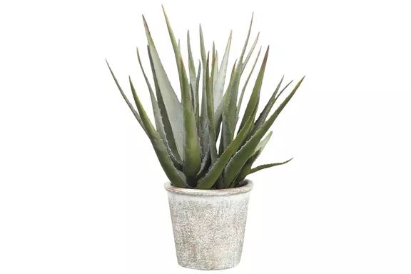 Afloral Artificial Potted Agave Succulent Plant