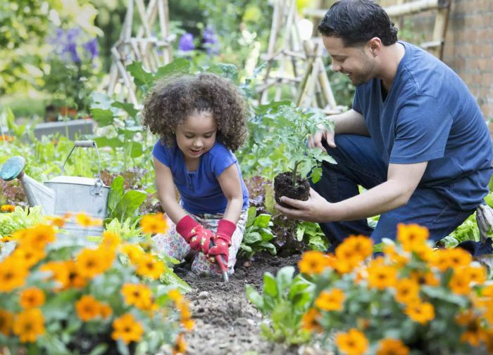 A photo of a father and daughter planting a garden together