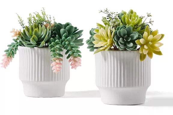 Astridia Artificial Succulent Plants
