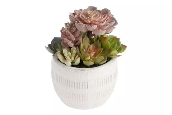 World Market Faux Succulent Arrangement in a Glazed Ivory Ceramic Pot