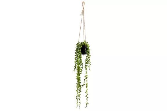 Primrue String of Pearls Faux Hanging Succulent with Pot