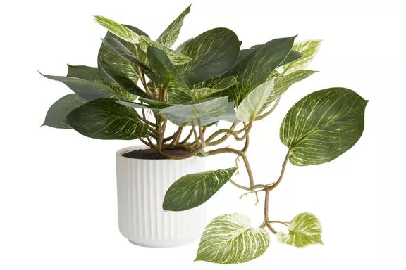 World Market Faux Pothos Plant