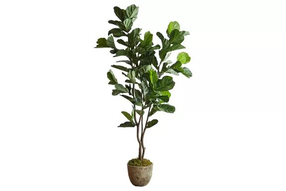 Terrain Faux Fiddle Leaf Fig Tree