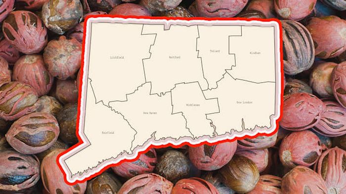 The title 'Nutmeg State' isn't actually the state's official nickname.