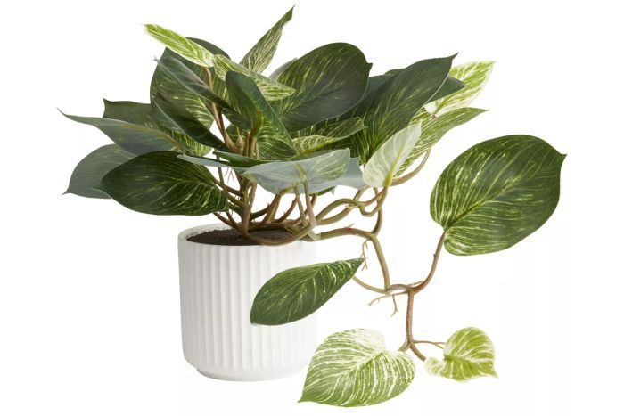 World Market Faux Pothos Plant