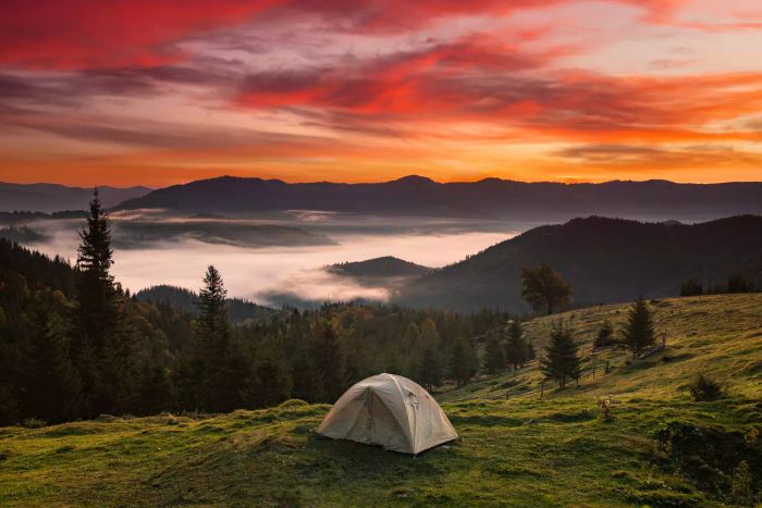 Tent Camping Adventure