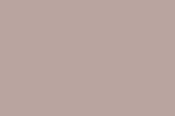 Valspar wall and ceiling paint – Pick of the Litter 8004-76