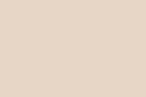 Valspar Savory Beige (Flat) – Ideal for Bedroom Walls