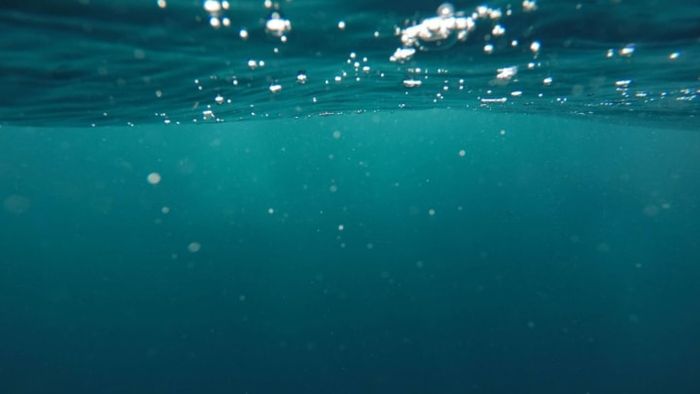 Jeremy Bishop, Unsplash