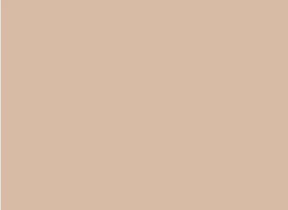 Valspar Mesa Sand color shade