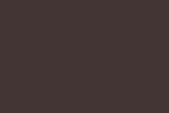 Valspar Brown Velvet Ceiling Paint (Flat Finish)