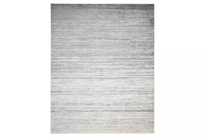 Amazon’s SAFAVIEH Adirondack Collection Area Rug
