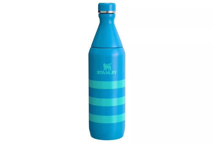 Target Stanley 20 oz Stainless Steel All Day Slim Bottle