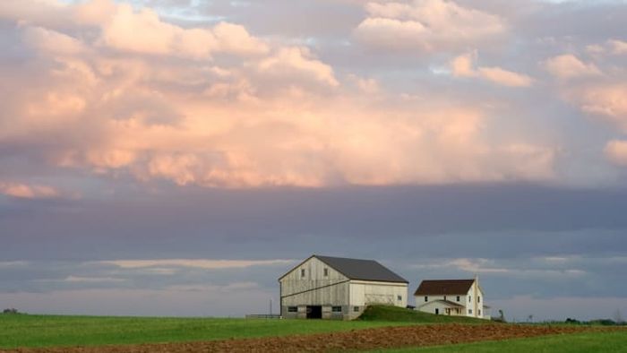 Image by DelmasLehman/iStock, courtesy of Getty Images