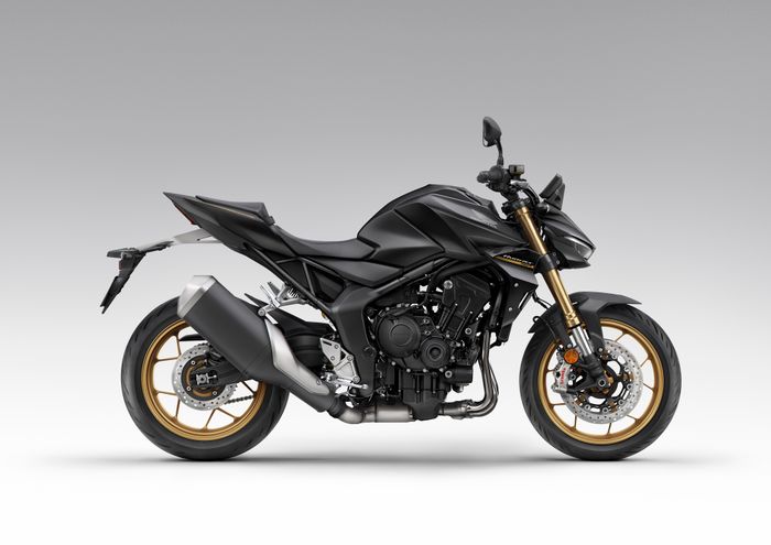 CB1000 Hornet (1).jpg