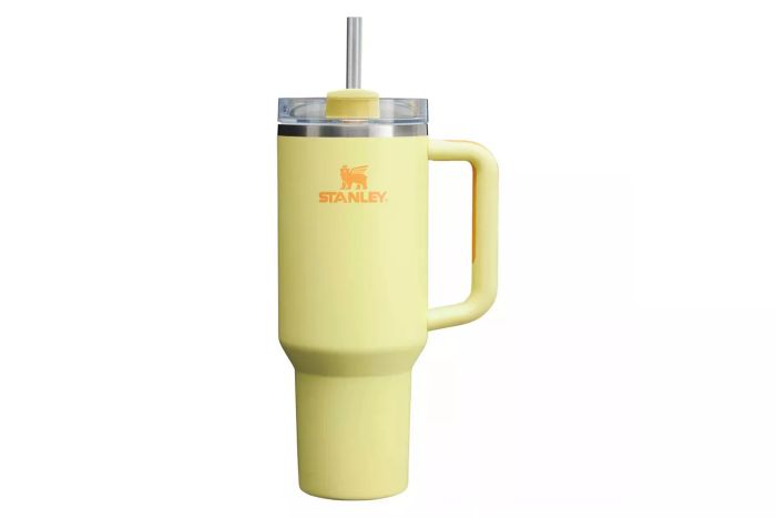 Target Stanley 40 oz Stainless Steel H2.0 FlowState Quencher Tumbler