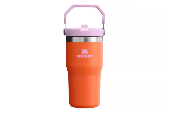 Stanley 20 oz Stainless Steel IceFlow Flip Straw Tumbler