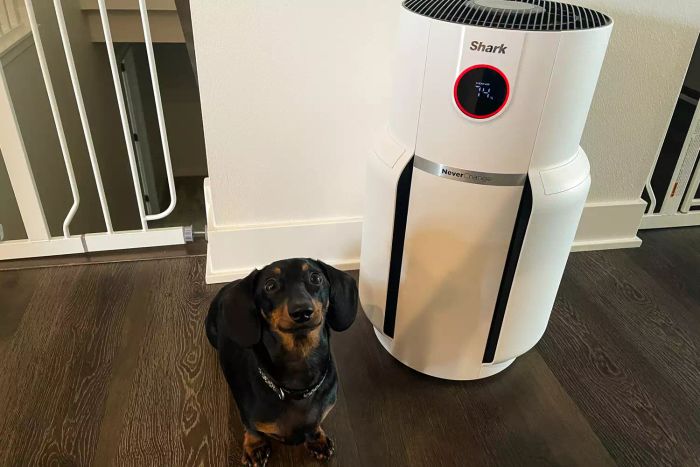 A dog stands beside the Shark NeverChange Air Purifier MAX.