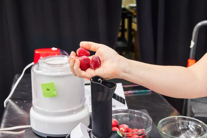 Hand holding frozen strawberries near the Yonanas Classic Soft-Serve Dessert Maker