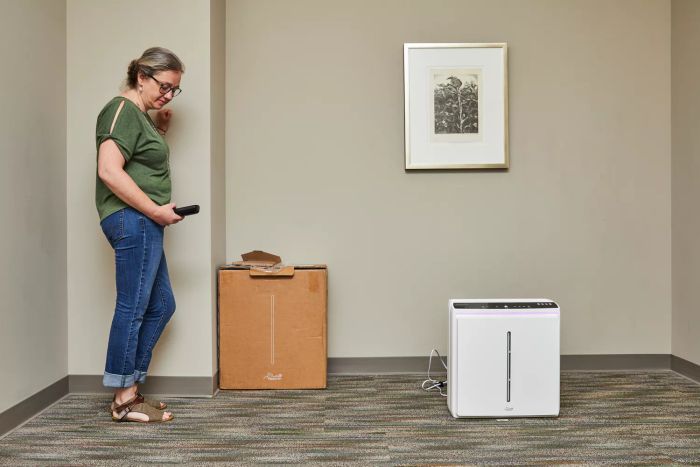 An individual standing next to the Rabbit Air A3 Ultra Quiet HEPA Air Purifier.
