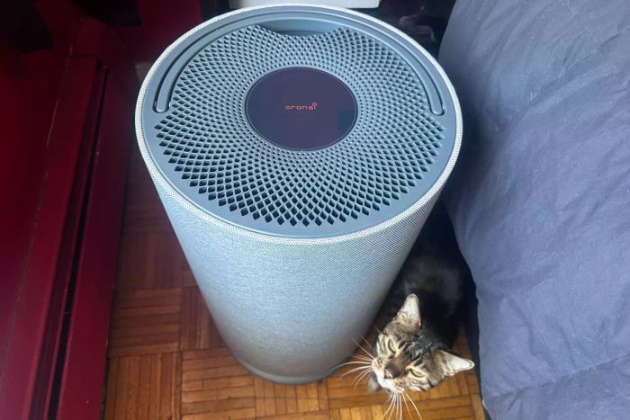 The top view of the Orsani Mod+ Hepa Air Filter.