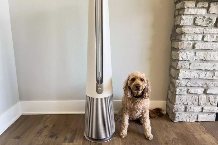 A dog sits beside the LG PuriCare AeroTower True HEPA Air Purifying Fan.