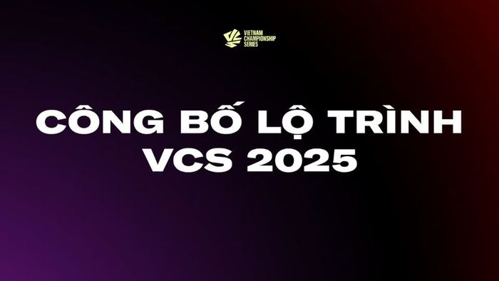 VCS 2025 - 1
