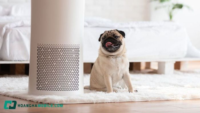 top-cac-tac-dung-cua-may-loc-khong-khi-doi-voi-suc-khoe-11