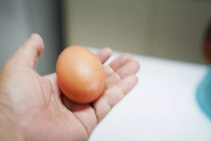 A person holding a brown egg in their hand