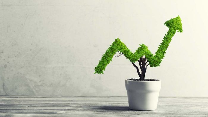 Find out how your investment performance could shift based on the balance between stocks and bonds in your portfolio