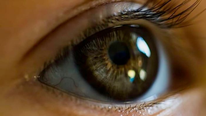 Image courtesy of iStock.com/Pedro_Turrini