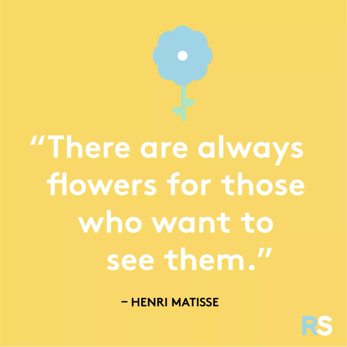 There will always be flowers for those who choose to see them.